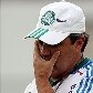 Jogo dos 12 erros: fatos que levaram o Palmeiras à Série B Jogo dos 12 erros: fatos que levaram o Palmeiras à Série B