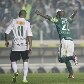 Em 25 anos de existência, a Copa do Brasil já teve campeões de vários cantos do País