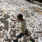 Eleições 2012: veja as principais imagens da votação em todo o País