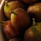 Molinho por dentro e fresquinho por fora
