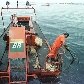 Relembre os últimos vazamentos de petróleo na costa do Brasil Relembre os últimos vazamentos de petróleo na costa do Brasil
