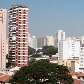 Roteiro mostra como redescobrir e voltar a explorar São Paulo 