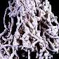 Escultura de papel da série 