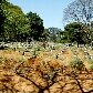 O Vila Formosa é considerado o maior cemitério da América Latina O Vila Formosa é considerado o maior cemitério da América Latina