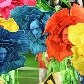 Os melhores momentos da segunda noite de carnaval no Rio de Janeiro Os melhores momentos da segunda noite de carnaval no Rio de Janeiro