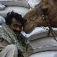 Trabalhador sorri quando camelo o cheira em mercado de grãos de Karachi, no Paquistão Trabalhador sorri quando camelo o cheira em mercado de grãos de Karachi, no Paquistão