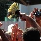 Devotos comemoram o Dia de São Jorge no Rio de Janeiro 