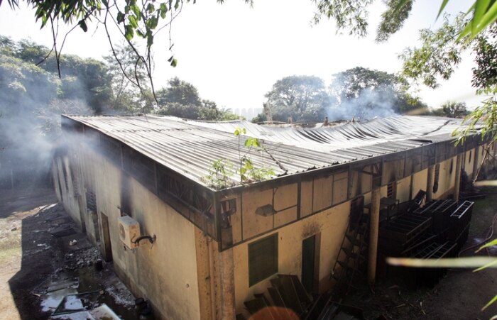 Relembre o incêndio que destruiu mais de 500 amostras do Instituto Butantan
