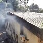 Relembre o incêndio que destruiu mais de 500 amostras do Instituto Butantan
