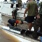 Embarcação naufraga em Ilha do Marajó, no Pará
