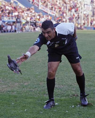 Árbitro tira pomba morta atingida por bola