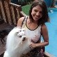 Conheça as armas para conquistar o sucesso no mercado pet Conheça as armas para conquistar o sucesso no mercado pet