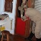 Onça invade casa no interior de Goiás Onça invade casa no interior de Goiás