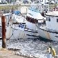 Barcos balançam fortemente na Califórnia com o aumento do movimento do mar após tsunami no Japão
