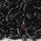A hora e a vez dos pequenos produtores de arroz