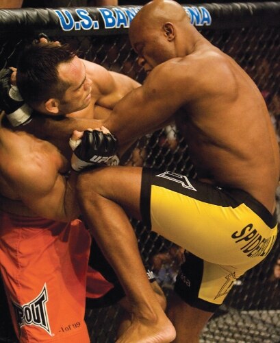 Enciclopédia do UFC, da Panini, é um guia completo do principal evento de MMA do mundo