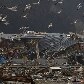 Rikuzentakata é uma das áreas afetadas pelo tsunami e terremoto no Japão Rikuzentakata é uma das áreas afetadas pelo tsunami e terremoto no Japão