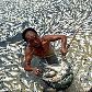 Homem retira os peixes mortos do Lago Donghu, na China Homem retira os peixes mortos do Lago Donghu, na China
