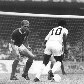 O eterno ídolo do Palmeiras