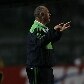 Palmeiras vence o Sport por 3 a 1 no Pacaembu, pela 22ª Rodada do Brasileiro