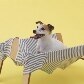 Mostra traz casinhas de cachorro projetadas na medida para eles