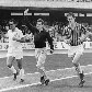 Há 40 anos, Eder Jofre, o maior peso galo da história, era também campeão mundial dos penas Há 40 anos, Eder Jofre, o maior peso galo da história, era também campeão mundial dos penas