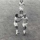 O eterno ídolo do Palmeiras