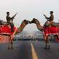 Camelos na fronteira indiana
