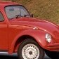 Fusca celebra nesta sexta-feira seu dia mundial Fusca celebra nesta sexta-feira seu dia mundial
