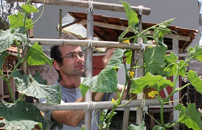 Morar na cidade não é mais desculpa para não ter uma hortinha em casa