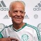 Inpirado na década de 1970, Palmeiras lança uniforme para a temporada