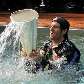 Webber comemora vitória no GP de Mônaco na piscina Webber comemora vitória no GP de Mônaco na piscina