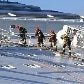 Autoridades ainda trabalham em buscas no navio Costa Concordia