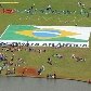 Manifestantes protestam contra Código Florestal em Brasília