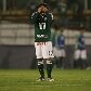 Imagens da 31.ª rodada do Campeonato Brasileiro Imagens da 31.ª rodada do Campeonato Brasileiro