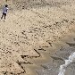 Ibama ignora 90% dos vazamentos em Ilha Grande Ibama ignora 90% dos vazamentos em Ilha Grande