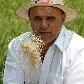 A hora e a vez dos pequenos produtores de arroz