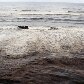 Transpetro diz que Praia de Tramandaí, no RS, está limpa