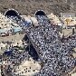 Muçulmanos celebram a Festa do Sacrifício na cidade de Mina, na Arábia Saudita