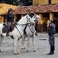 Mulheres mostram força e ganham espaço na PM