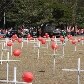 Protestos dos servidores seguem por todo o País 