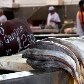 Conheça como funciona o imenso mercado a céu aberto de Belém 