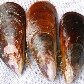 Novo levantamento lista plantas e animais invasores no Brasil Novo levantamento lista plantas e animais invasores no Brasil