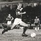 O eterno ídolo do Palmeiras