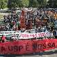 Estudantes, professores e funcionários fazem manifestação na USP