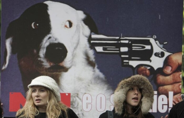 Lei da Romênia aprova que cães de rua podem ser sacrificados; ativistas protestam no parlamento