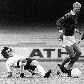 O eterno ídolo do Palmeiras