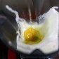 Conheça os campeões da alergia alimentar Conheça os campeões da alergia alimentar