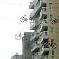 A intervenção mais recente, depois das pets, foi a das bikes penduradas na Av. Paulista, de 2007