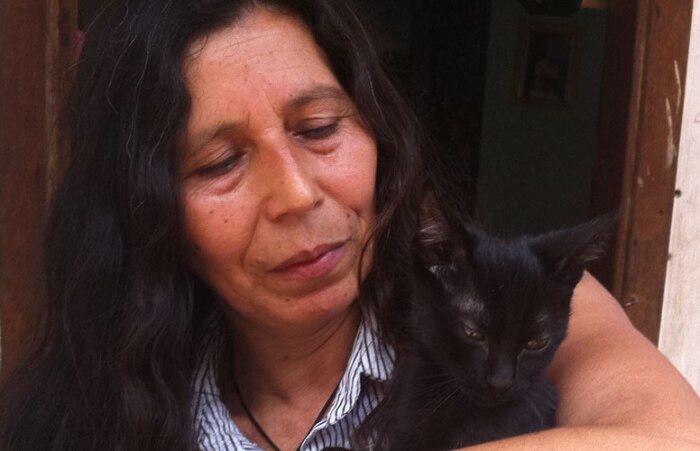 Gata morre em SP infectada com o vírus da raiva 